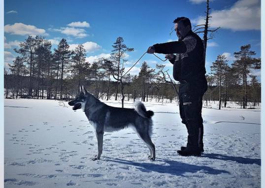 H�r kommer Chefen �ver skjutbiografen, Krister