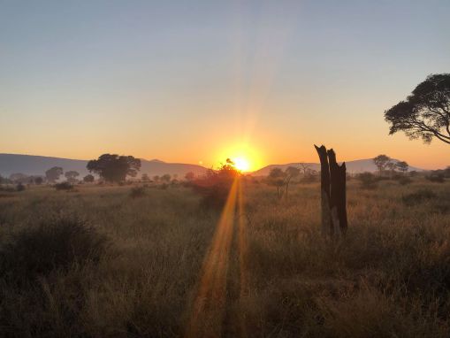 En resa till Afrika del 2