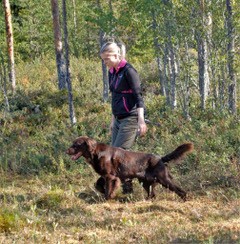 Hundjakts�song slut men tr�na din hund f�r kommande premi�rer, del II