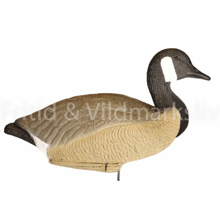 Bulvan Kanadag�s skal Vakande