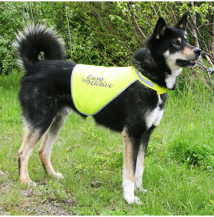 S�kerhetsv�st Easy Active