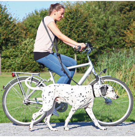 Cykel-och joggingkoppel