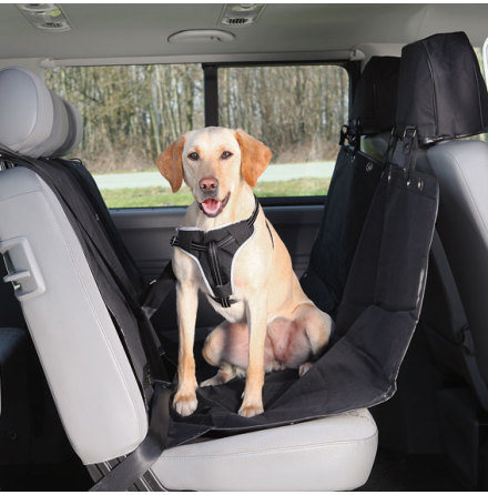 Bilskydd f�r baks�tet