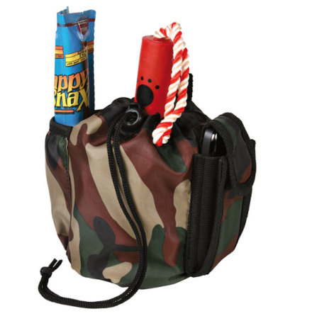 V�ska Set Dog on tour