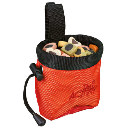 Godisv�ska DogActivity