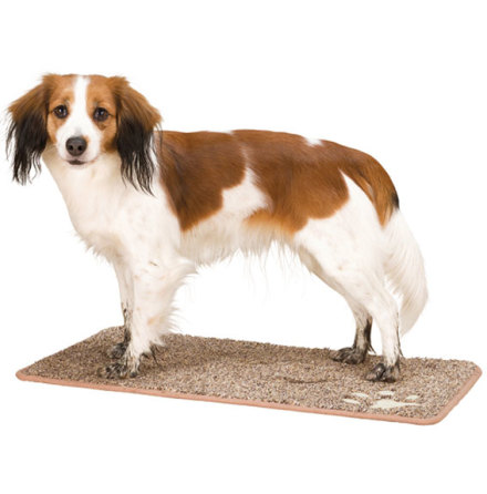 Smutsabsorberande matta, 70�50 cm, brun