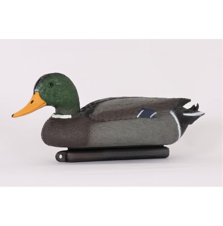 Alces Bulvan Gr�sand Hane