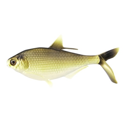 13 Fishing BAMF Shad 8" Gold Retriever