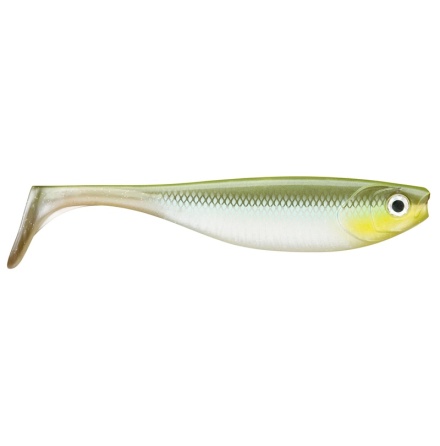 Storm Boom Shad 24cm ML