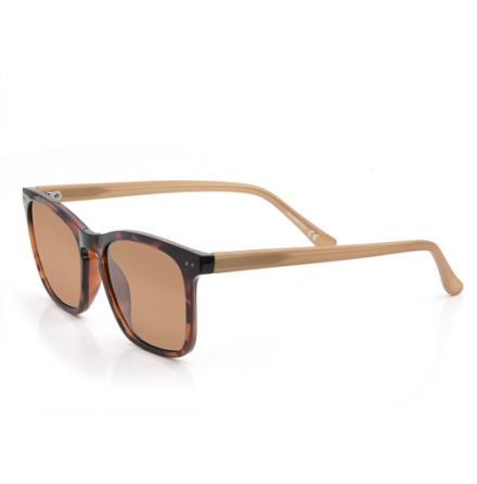 Vision Sir Sunglasses Brown